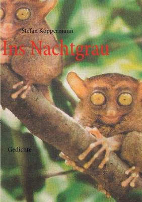 Ins Nachtgrau