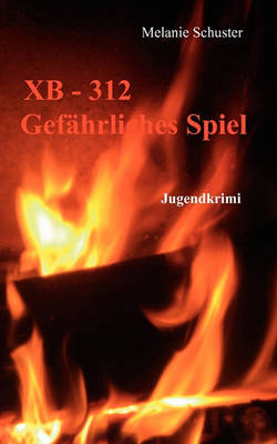 XB-312 Gefahrliches Spiel