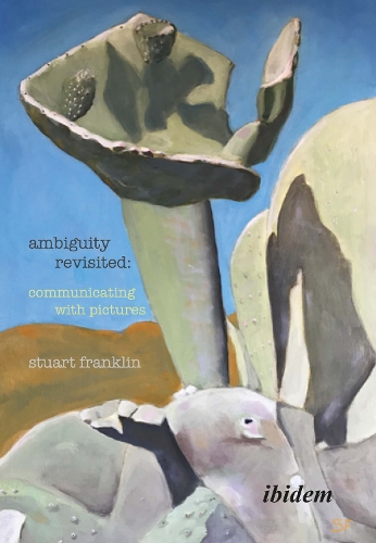 Ambiguity Revisited