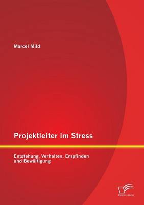 Projektleiter im Stress