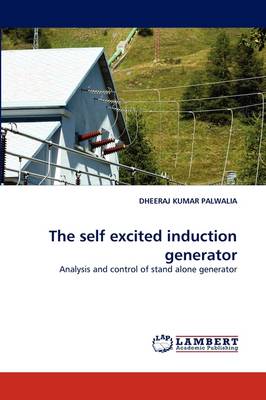 The Self Excited Induction Generator