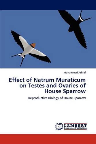 Effect of Natrum Muraticum on Testes and Ovaries of House Sparrow