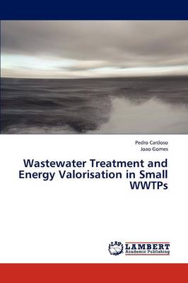 Wastewater Treatment and Energy Valorisation in Small Wwtps