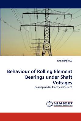 Behaviour of Rolling Element Bearings Under Shaft Voltages