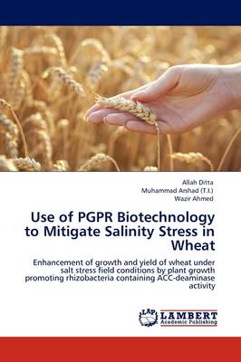 Use of Pgpr Biotechnology to Mitigate Salinity Stress in Wheat