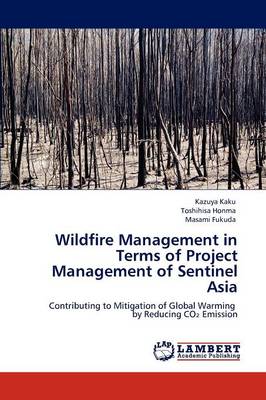 Wildfire Management in Terms of Project Management of Sentinel Asia
