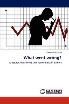 What Went Wrong?