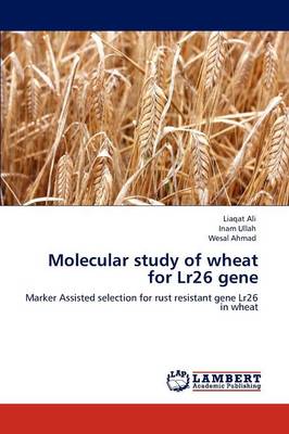 Molecular Study of Wheat for Lr26 Gene