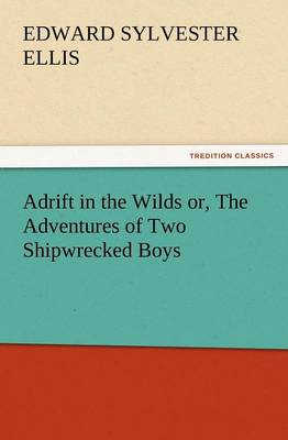 Adrift in the Wilds Or, the Adventures of Two Shipwrecked Boys