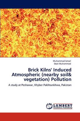 Brick Kilns' Induced Atmospheric (Nearby Soil & Vegetation) Pollution