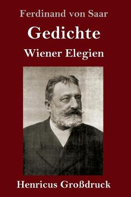 Gedichte / Wiener Elegien (Großdruck)