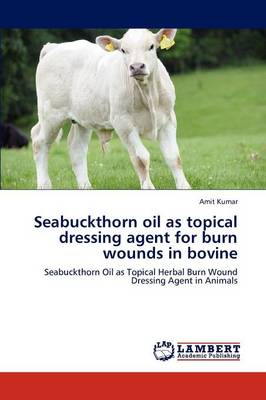 Seabuckthorn Oil as Topical Dressing Agent for Burn Wounds in Bovine
