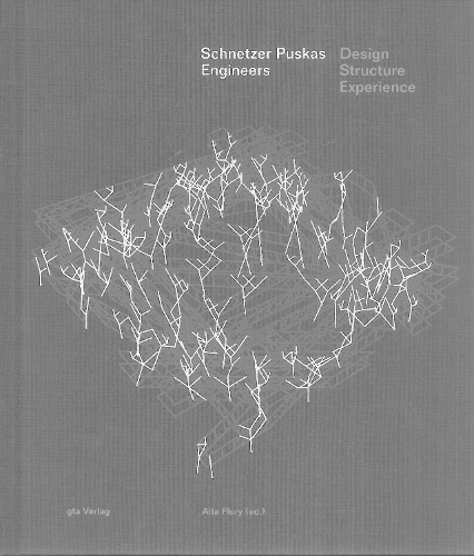 Schnetzer Puskas Engineers – Design Structure Experience