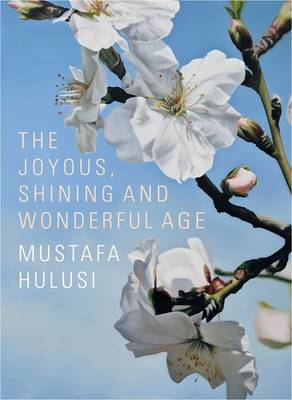 Mustafa Hulusi