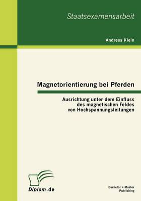 Magnetorientierung bei Pferden
