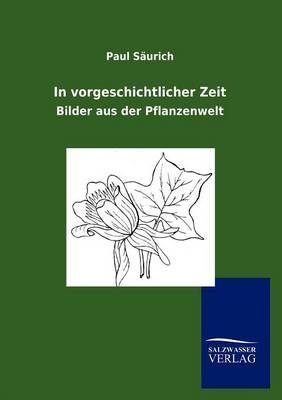 In vorgeschichtlicher Zeit