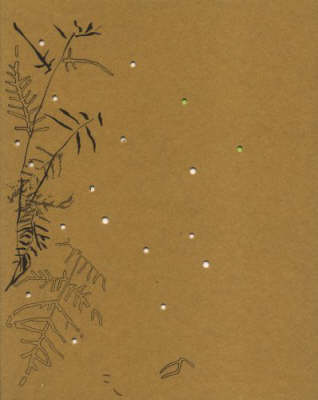 Cornelia Schmidt-Bleek