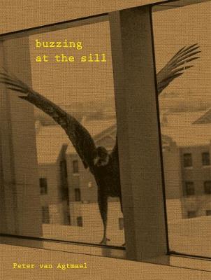 Buzzing At The Sill
