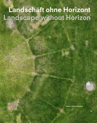 Landscape Without Horizon