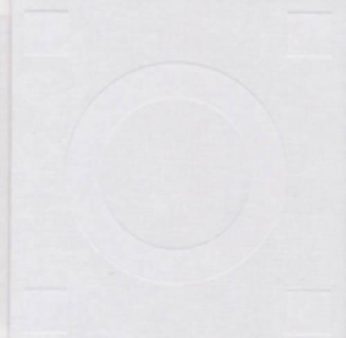 The White Mass