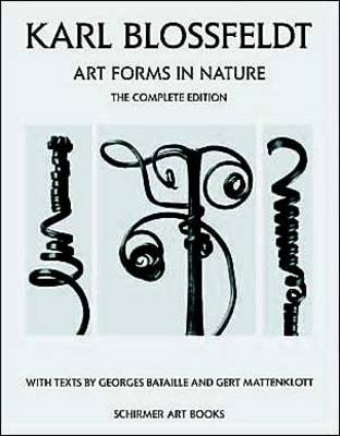 Karl Blossfeldt: Art Forms in Nature