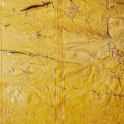 David Hammons