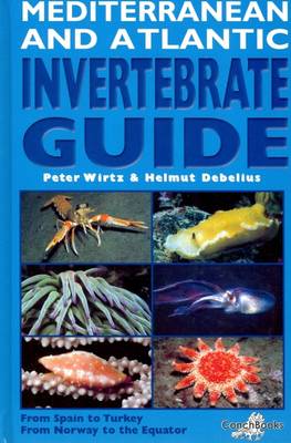 Mediterranean and Atlantic Invertebrate Guide