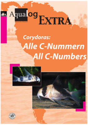 Aqualog Extra: The Latest Corydoras