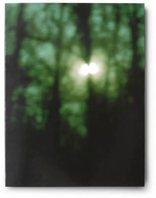Jacob Jensen: Large Image Collider