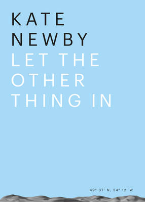 Kate Newby - Let the Other Thing in