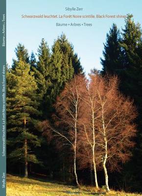 Baume. Arbres. Trees