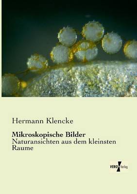 Mikroskopische Bilder