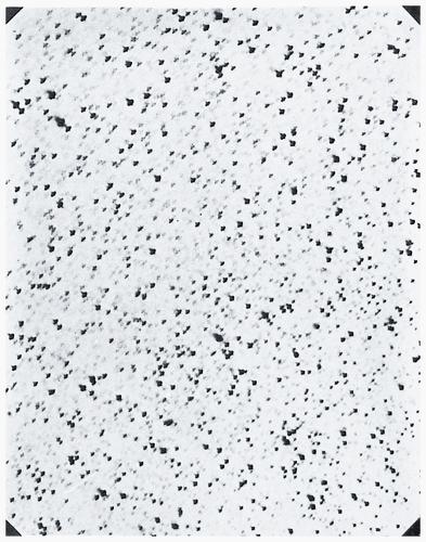 Andrea Ferrari: By Means of the Sun