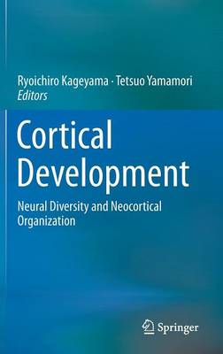 Cortical Development