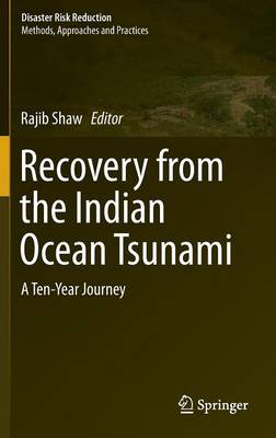 Recovery from the Indian Ocean Tsunami