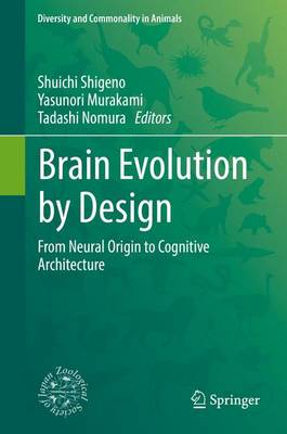 Brain Evolution by Design