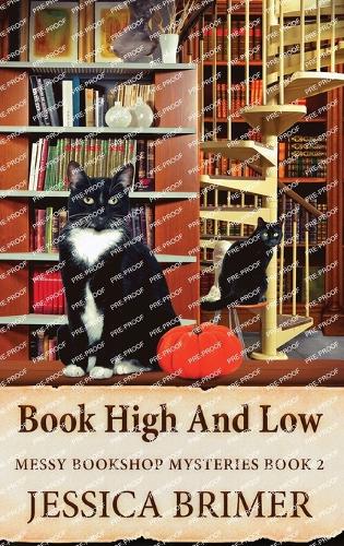 Book High And Low
