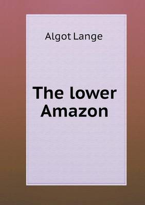 The lower Amazon