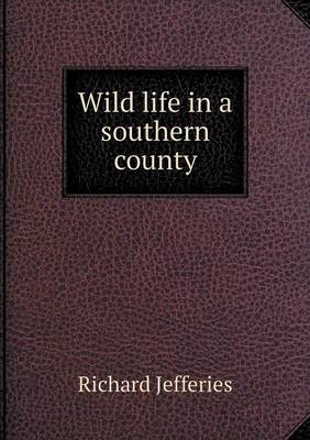 Wild life in a southern county