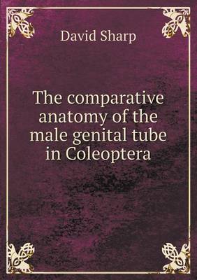 The comparative anatomy of the male genital tube in Coleoptera