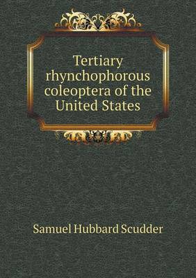 Tertiary rhynchophorous coleoptera of the United States