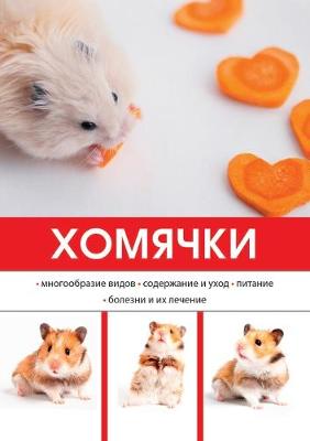 Хомячки