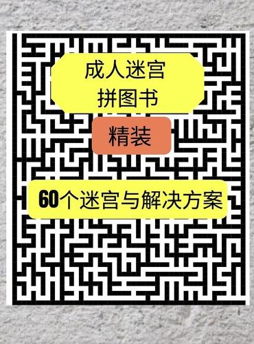 成人迷宫拼图书 精装