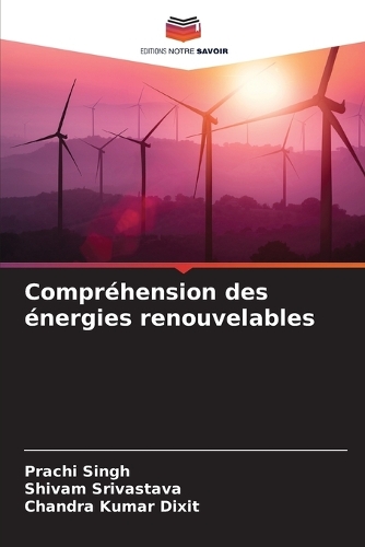 Compréhension des énergies renouvelables