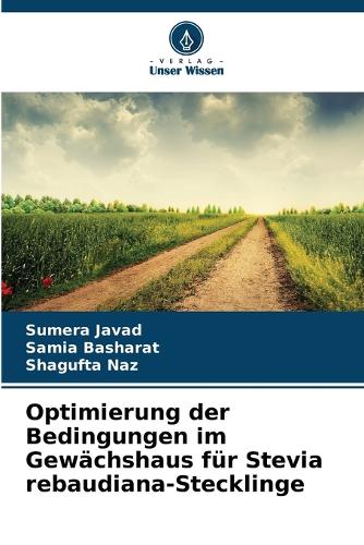 Optimierung der Bedingungen im Gewächshaus für Stevia rebaudiana-Stecklinge