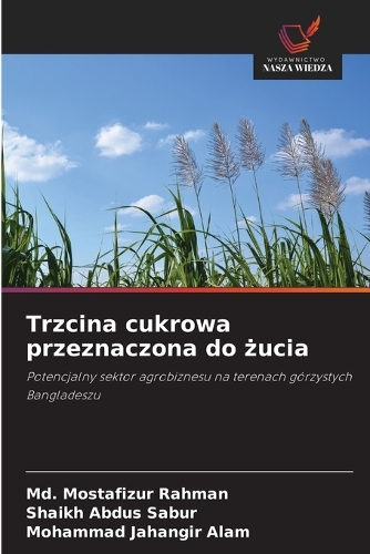 Trzcina cukrowa przeznaczona do żucia