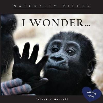 I Wonder