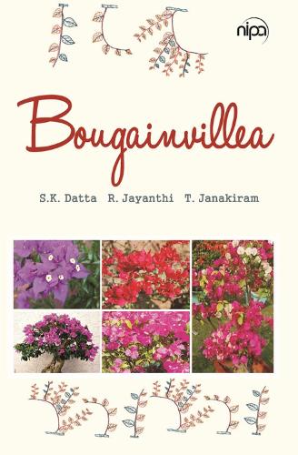 Bougainvillea