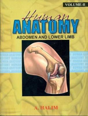 Abdomen and Lower Limb