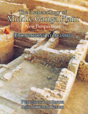 The Archaeology of Middle Ganga Plain